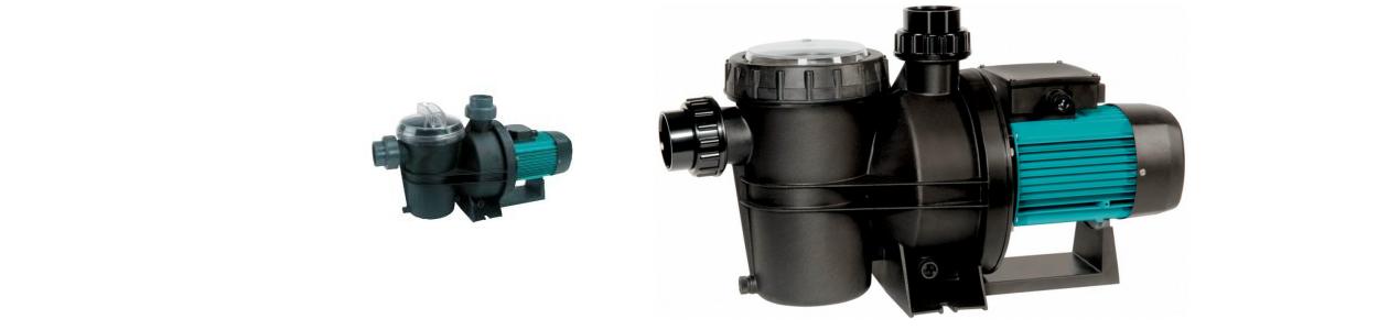 Filter Pumpe Silen 2