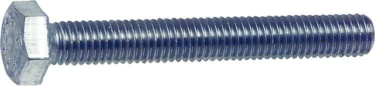 Edelstahl-Schraube für Pumpengehäuse Silen, Blaumar