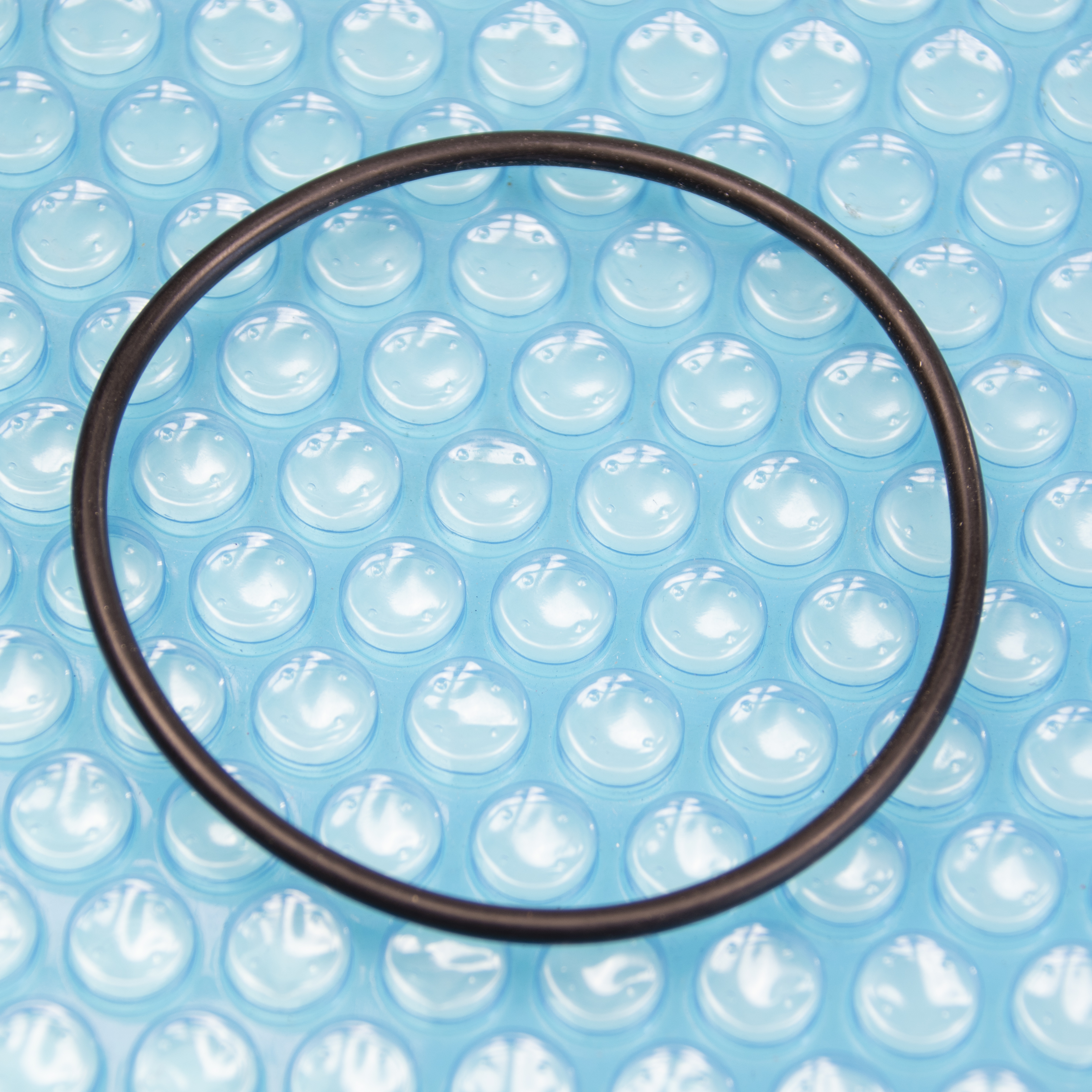 O-Ring für Klarsichtdecke Blaumar N1, Niper, Waterstar