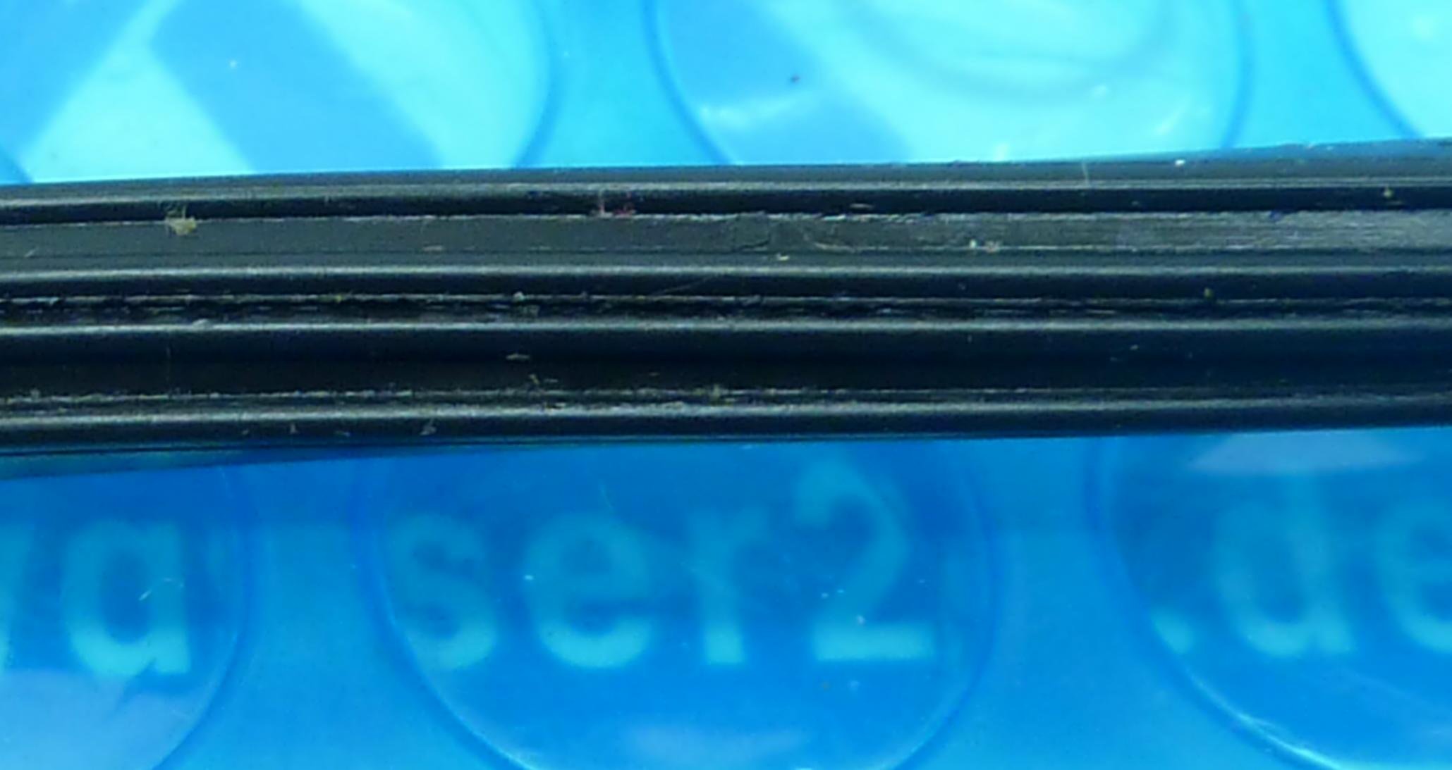 O-Ring, Dichtring für Filterdeckel, Silen, Blaumar, Squiper