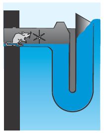 Überlaufsiphon für Rohre DN110 (DN100) mit Kleintierschutz der Überlaufsiphon aus Polyethylen (PE) für Rohre DN110 (DN100) mit Kleintierschutz. Neben dem Vorfilter, dem beruhigten Zulauf und der schwimmenden Entnahme, ist das Siphon die vierte Reinigungss
