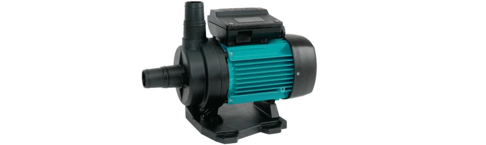 Filter Pumpe Basic