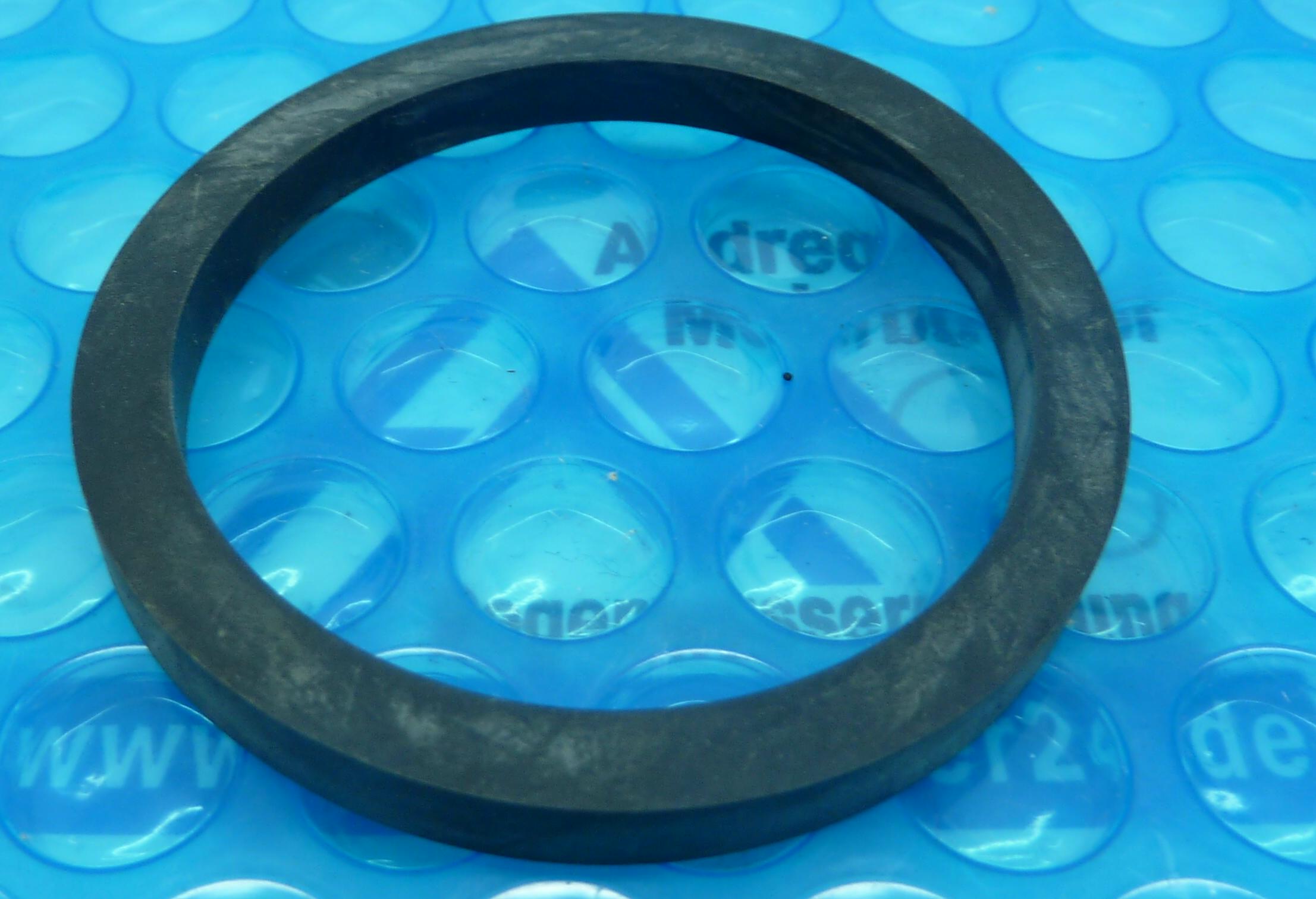 Dichtring für Leitrad Niper, Blaumar, Iris, Squiper